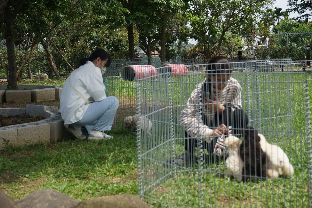 元培寵保系同學們參觀皮卡丘寵物花園，認真觀察繁殖場內飼養的犬隻
