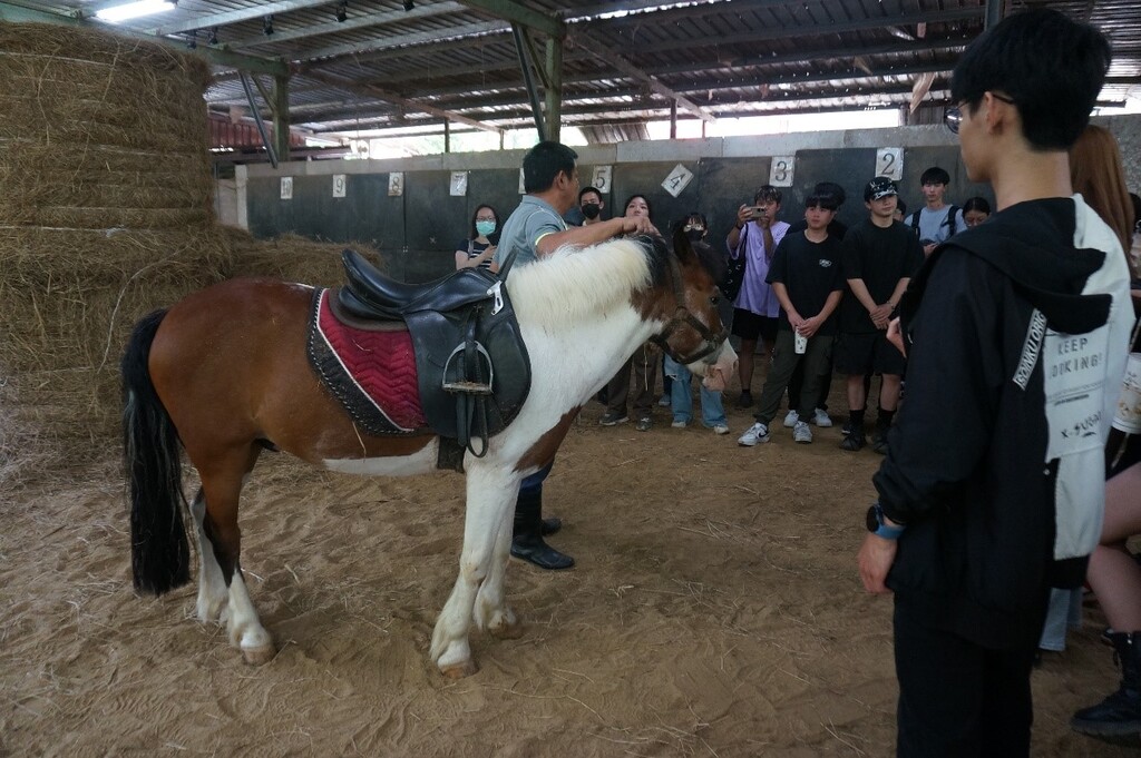 馬場主人為元培寵保系生介紹馬的營養與照護及管理工作